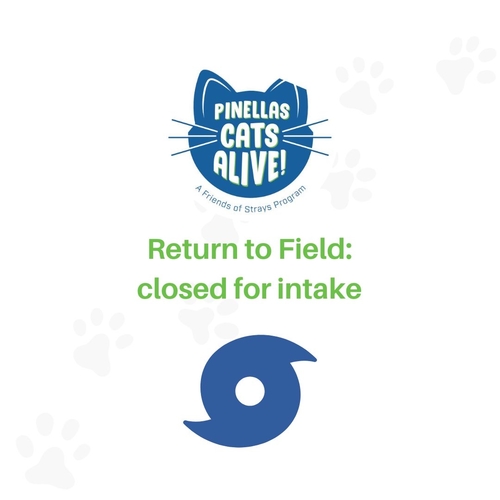Pinellas Cats Alive! closed for intake