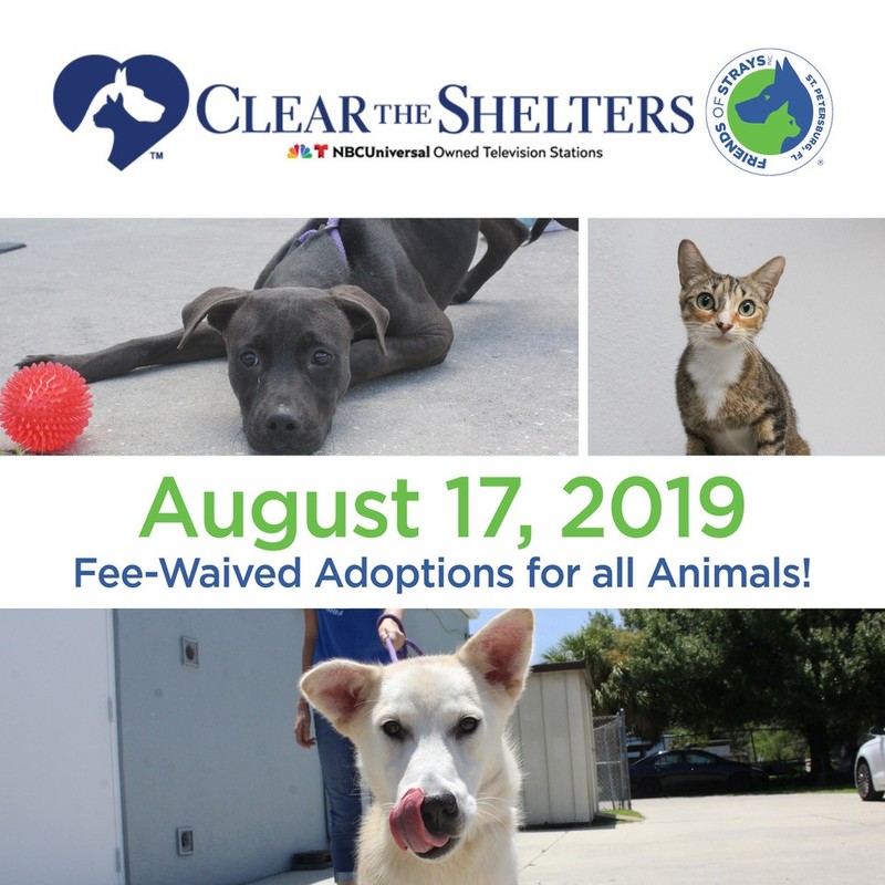 Clear the Shelters 2019 Friends of Strays Cat and Dog Adoption in St