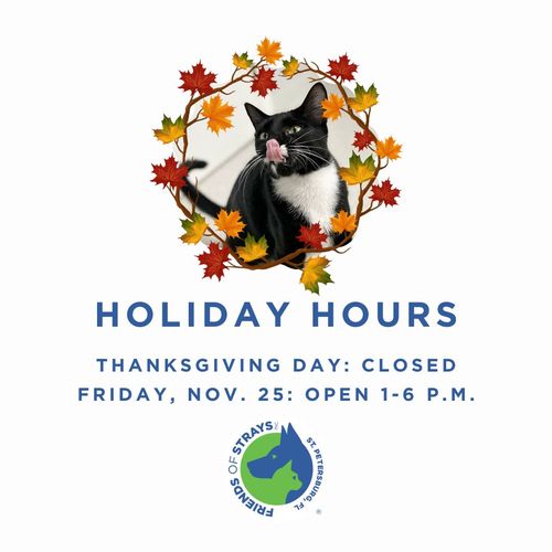 Thanksgiving Weekend Shelter Hours