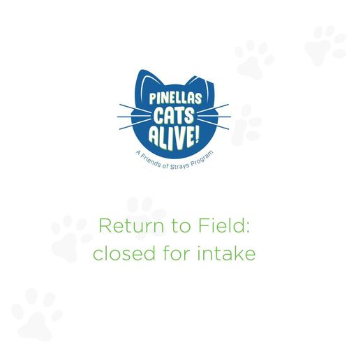 Pinellas Cats Alive! RTF closed for intake
