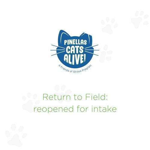 Pinellas Cats Alive! intake reopened