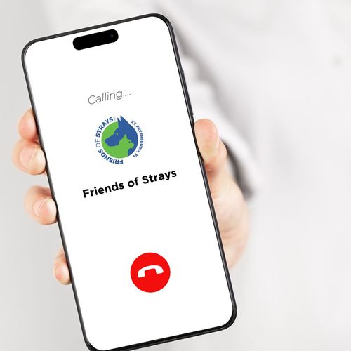 Shelter experiencing phone outage Dec. 7