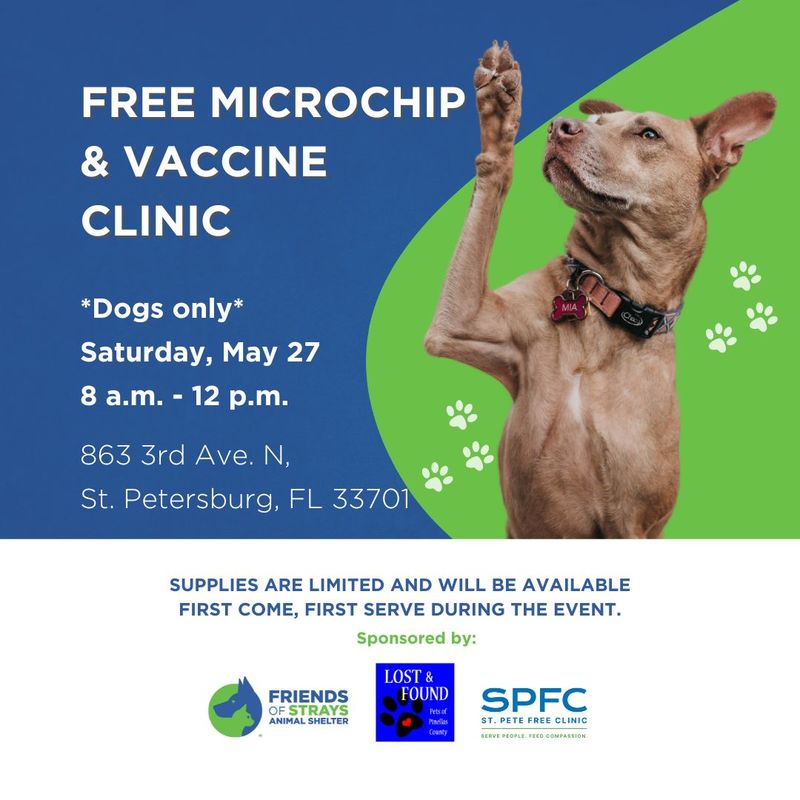 Free microchip and vaccine clinic Friends of Strays Cat and Dog