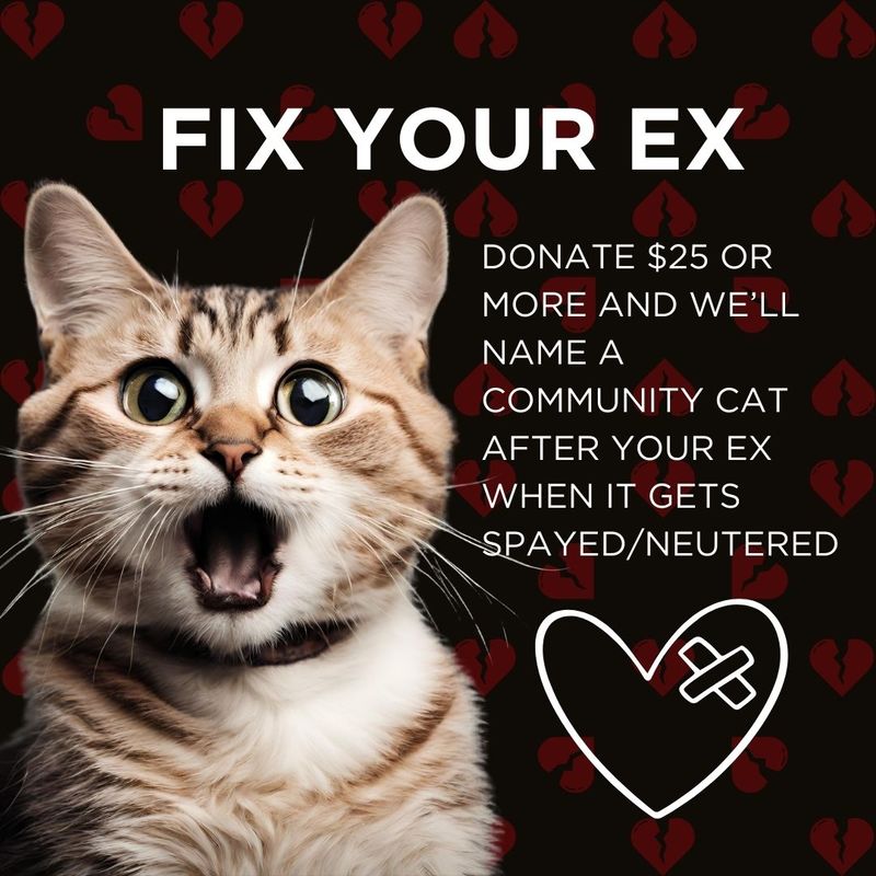 Fix Your Ex Donate 25 and we ll name a community cat after your