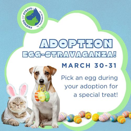 Adoption Eggstravaganza March 30-31, 2024