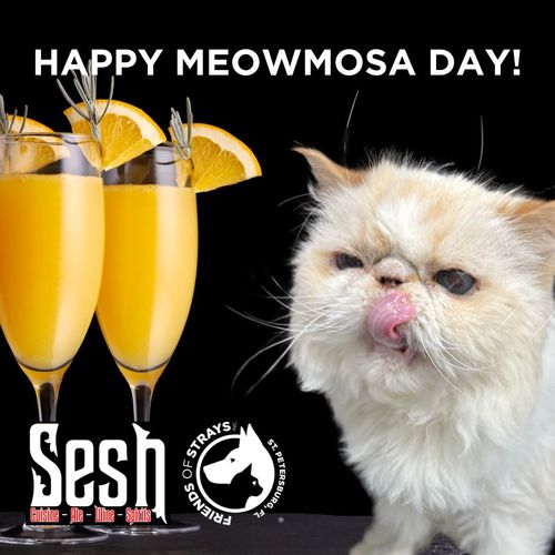 National Meowmosa Day: May 16!