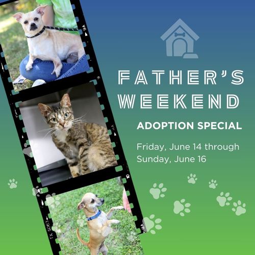Father's Weekend Adoption Special June 14-16, 2024