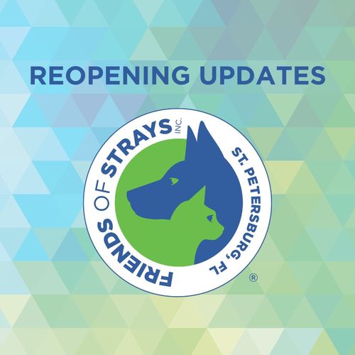 Friends of Strays Reopening Updates!