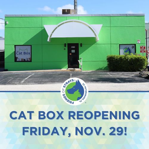 Cat Box Reopening and Adopt Local Weekend!