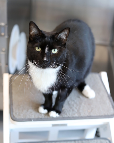 Shelter closures: first Tuesday of the month