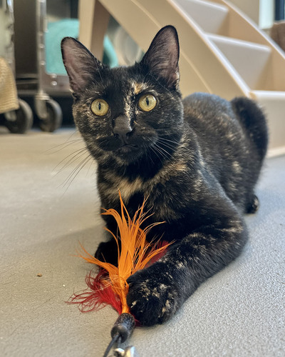 Thank you to Community Foundation Tampa Bay!