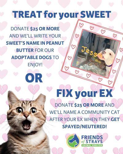 Support FOS for Valentine's Day!