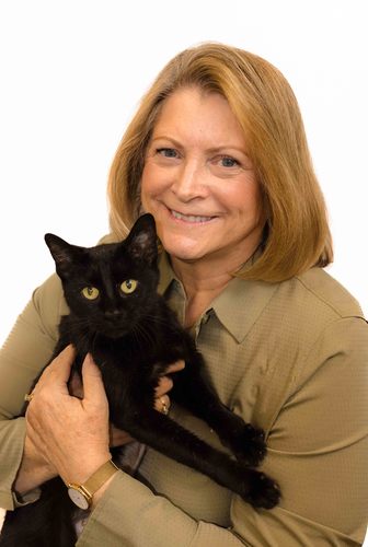 Friends of Strays welcomes Sue Lynn to the Board of Directors