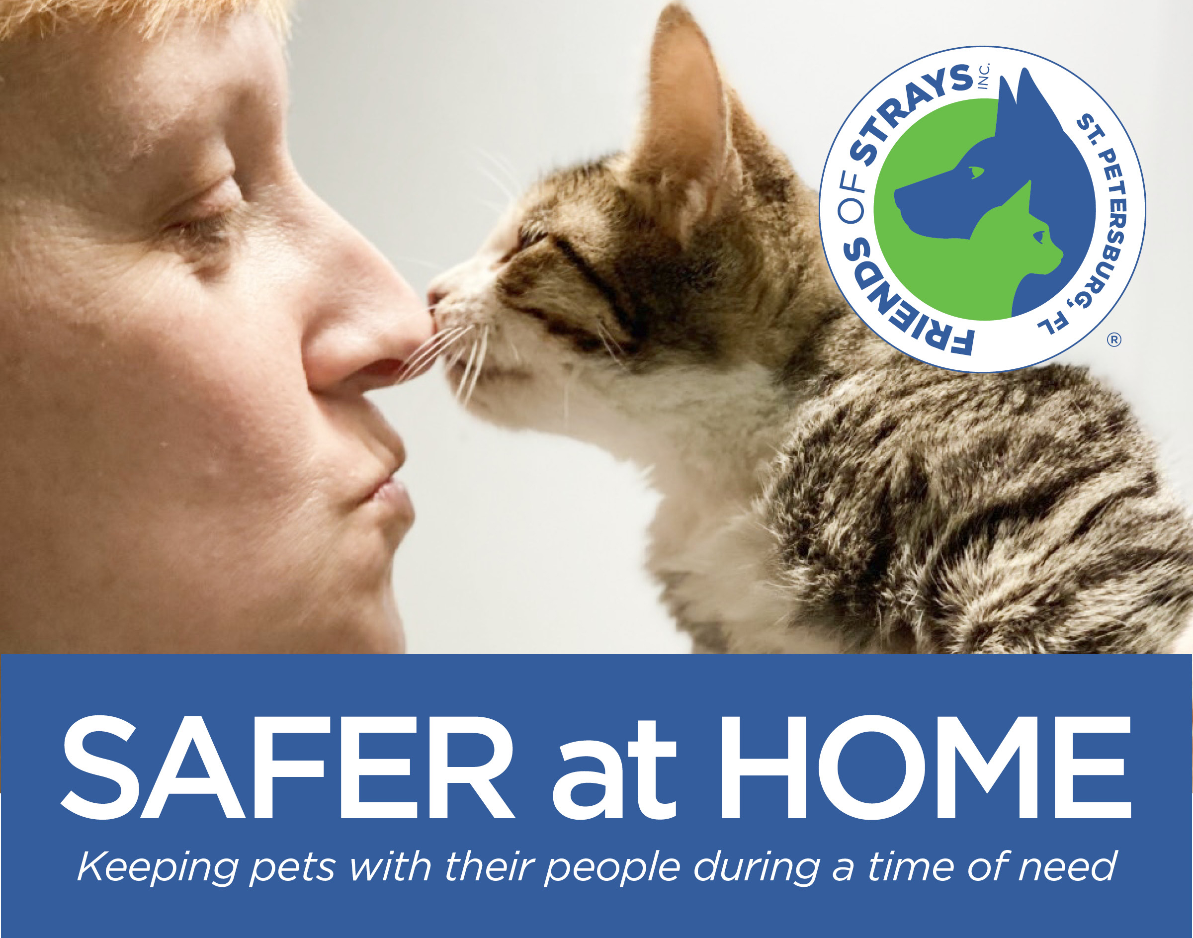 Safer At Home - Friends of Strays Cat and Dog Adoption in St. Petersburg, FL