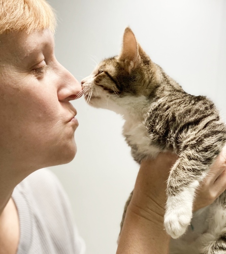 Enrichment Projects - Friends of Homeless Animals