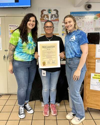 Friends of Strays recognized by Palm Beach as a top transfer partner!
