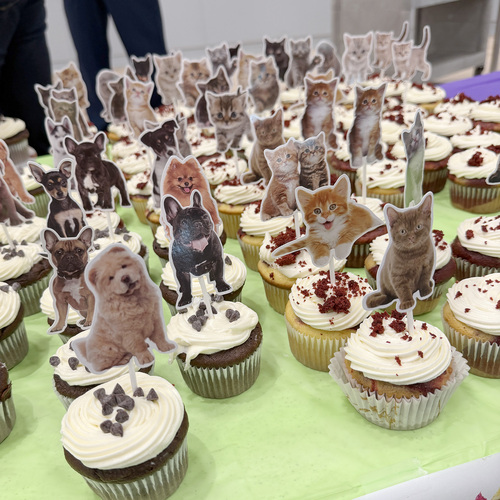 Raymond James team raises over $6,000 at Cupcakes for Critters!