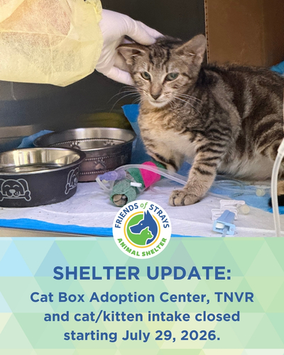 Cat Box adoptions, cat/kitten intake, and TNVR closed beginning July 29, 2026