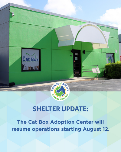 The Cat Box Adoption Center and Cat Adoptions Reopen on August 12