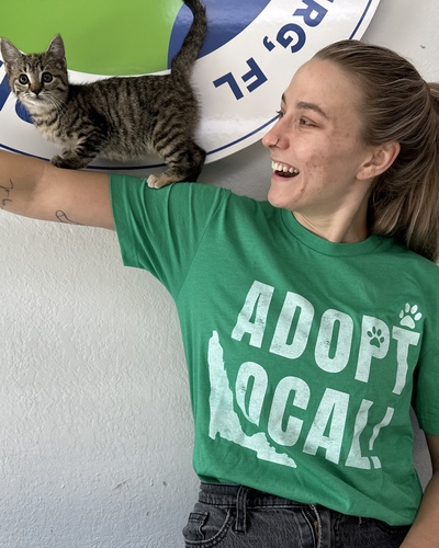 Friends of Strays Program Spotlight with our Foster Manager Kim!  