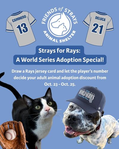 Friends of Strays Hosts "Strays for Rays: A World Series Adoption Special!"