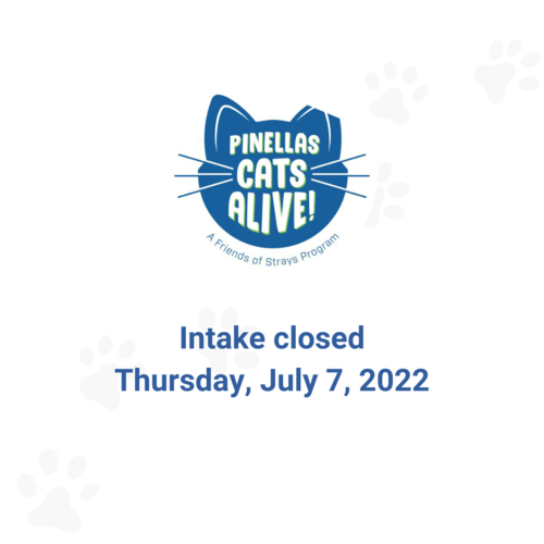 Pinellas Cats Alive! intake closed Thursday, July 7