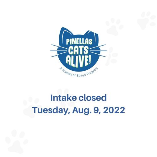 Pinellas Cats Alive! will be closed for intake Tuesday, Aug. 9