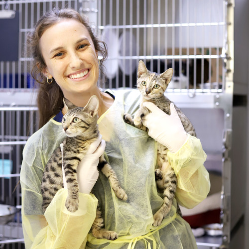 Staff Spotlight: Megan, Veterinary Technician 