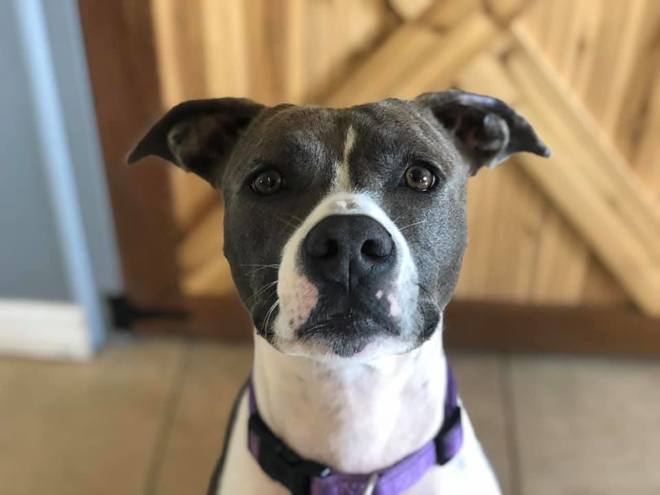 Kaia